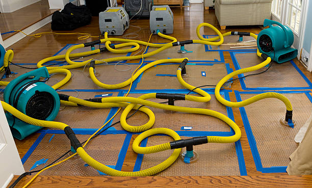 Professional Crawl Space Water Removal technician working in Bloomingdale, GA